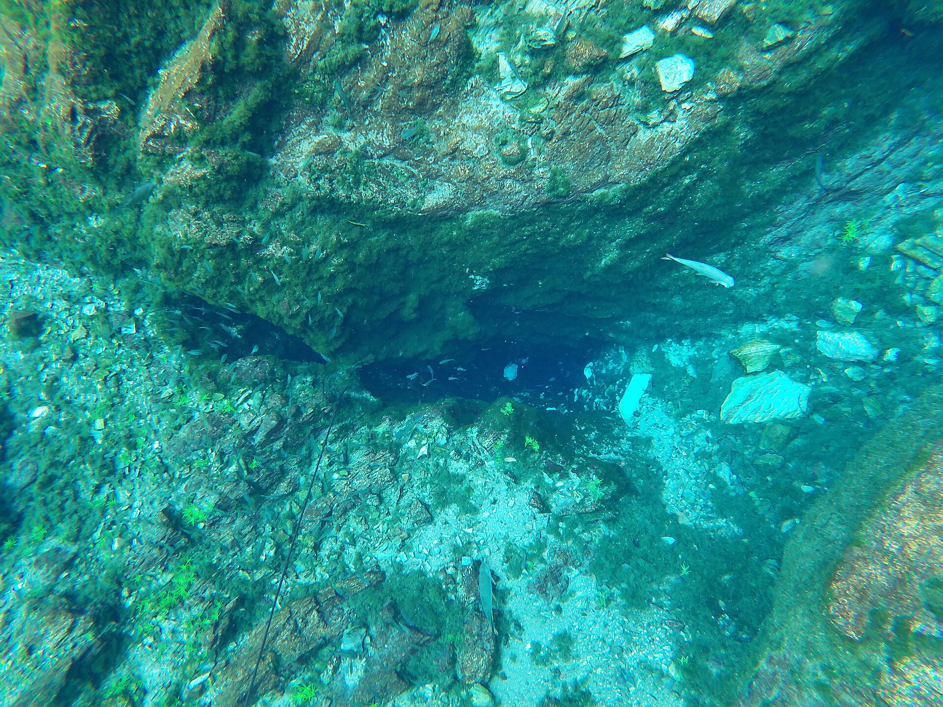 Águas cristalinas em Bonito, Mato Grosso do Sul