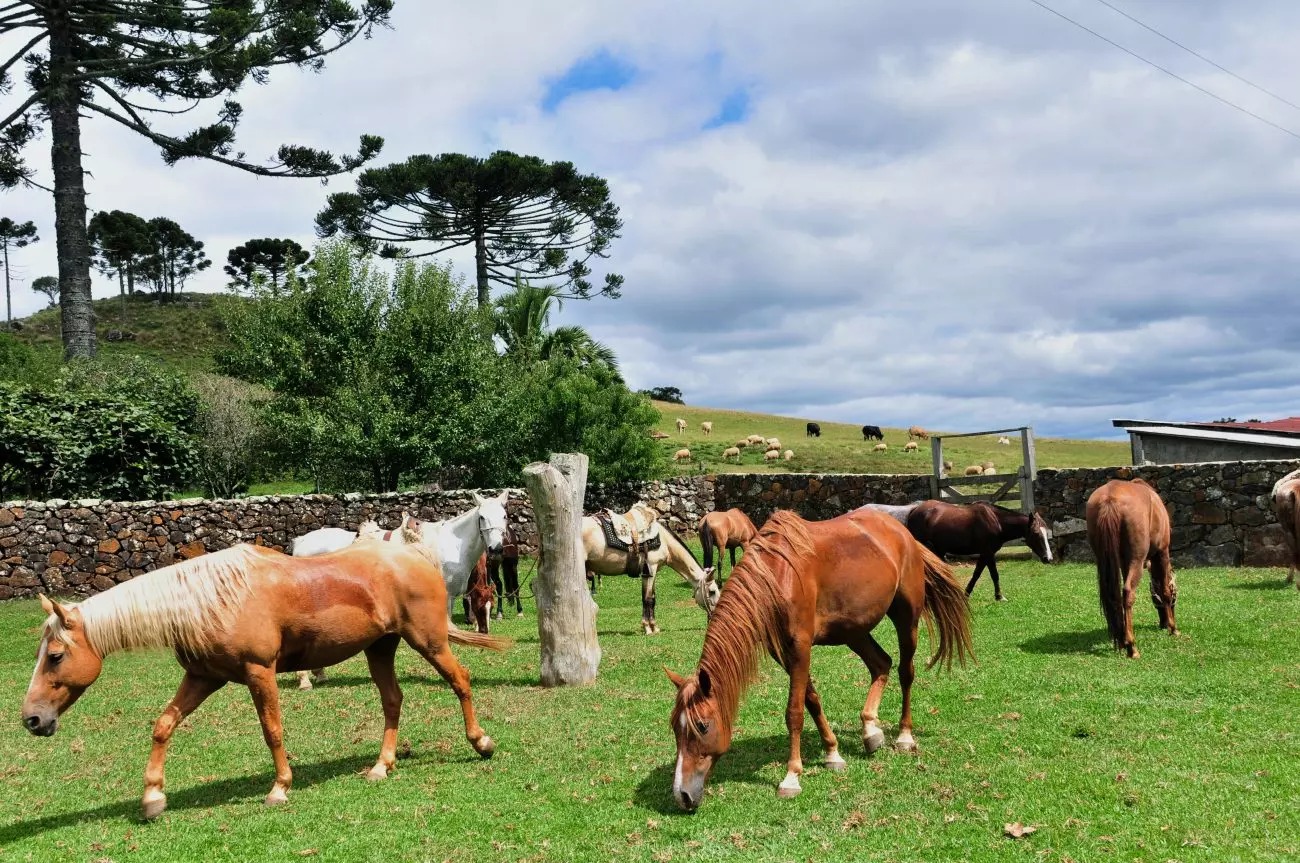 Foto de Coxilha Rica